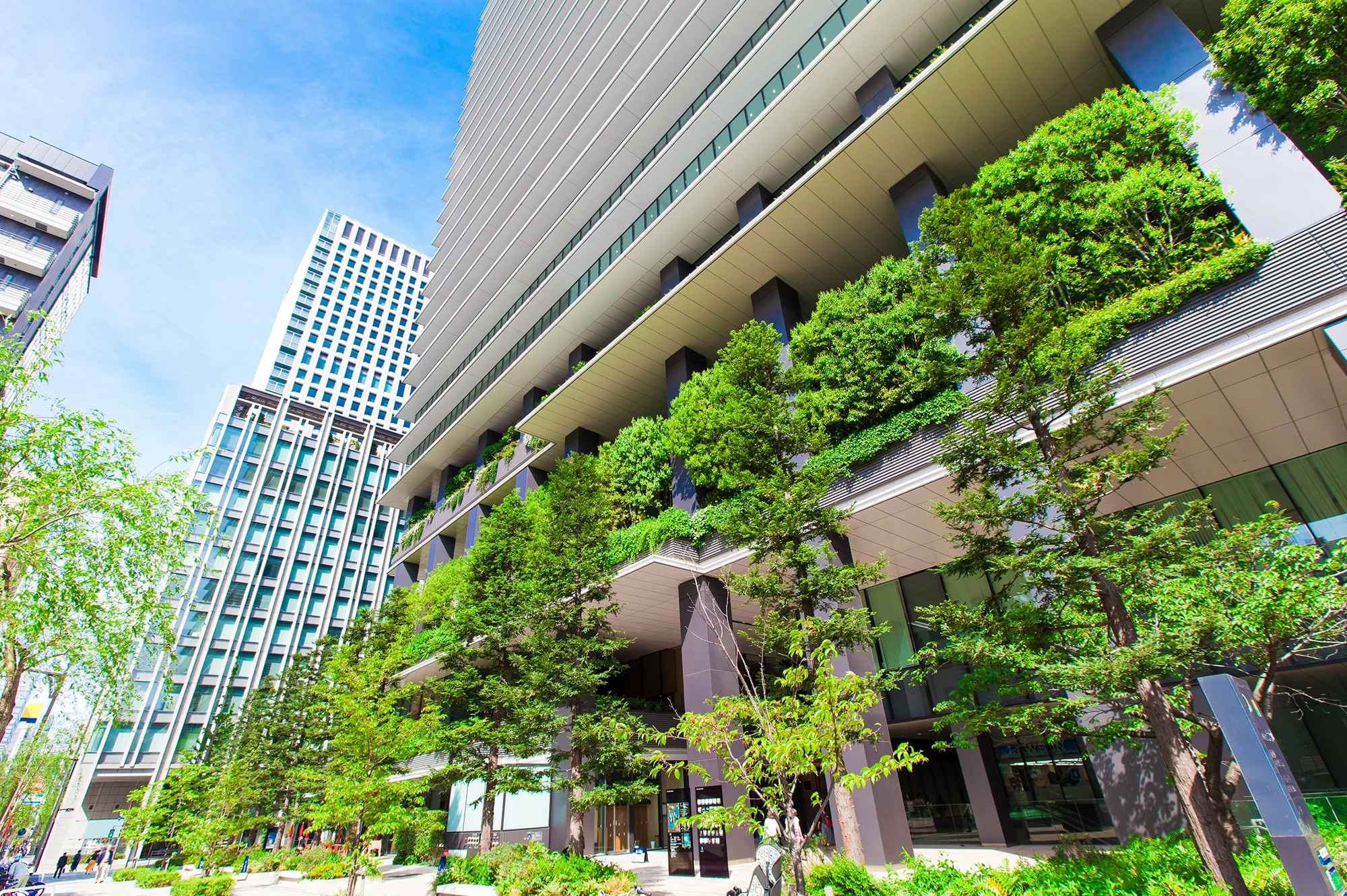 地域に貢献できるデベロッパーとして